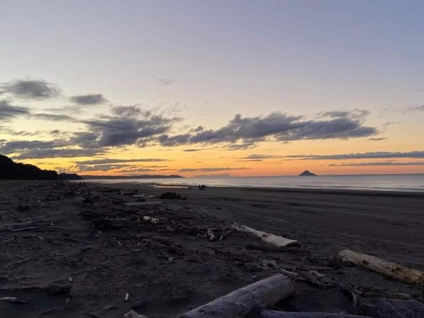 Opotiki - Waiotahe Drifts Beach Pod 외부 사진