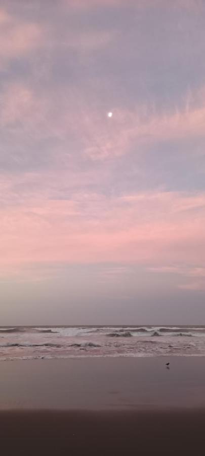 Opotiki - Waiotahe Drifts Beach Pod 외부 사진